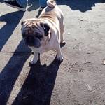 Nicole Rix Profile Picture