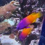 Claudia Profile Picture