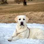 Helmut Zotz Profile Picture