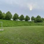 Tamara Profile Picture