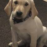 Julia Brantner Profile Picture