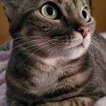 Karolina Gruber Profile Picture