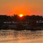 Susanne Niederkofler Profile Picture