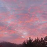 Lydia Wieland Profile Picture