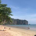 Berti Profile Picture