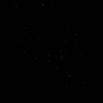 Gkuchlin Profile Picture