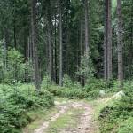 Rezepte135 Profile Picture