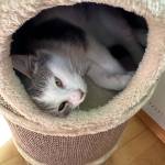 Edith Schwemhofer Profile Picture