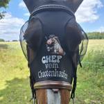 Theresa Anhofer Profile Picture